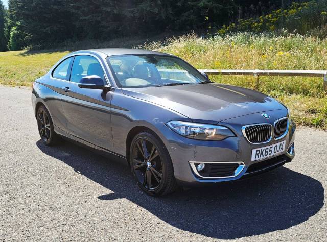 2015 BMW 2 Series 1.5 218i Luxury Euro 6 (s/s) 2dr
